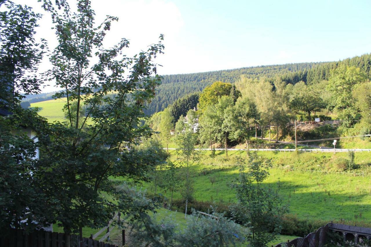 Villa Haus Talblick à Schmallenberg Extérieur photo