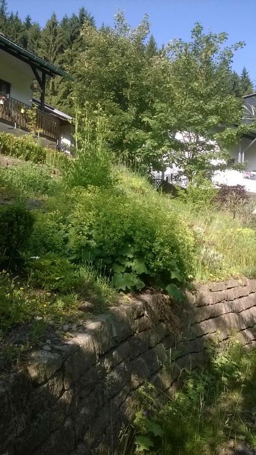 Villa Haus Talblick à Schmallenberg Extérieur photo