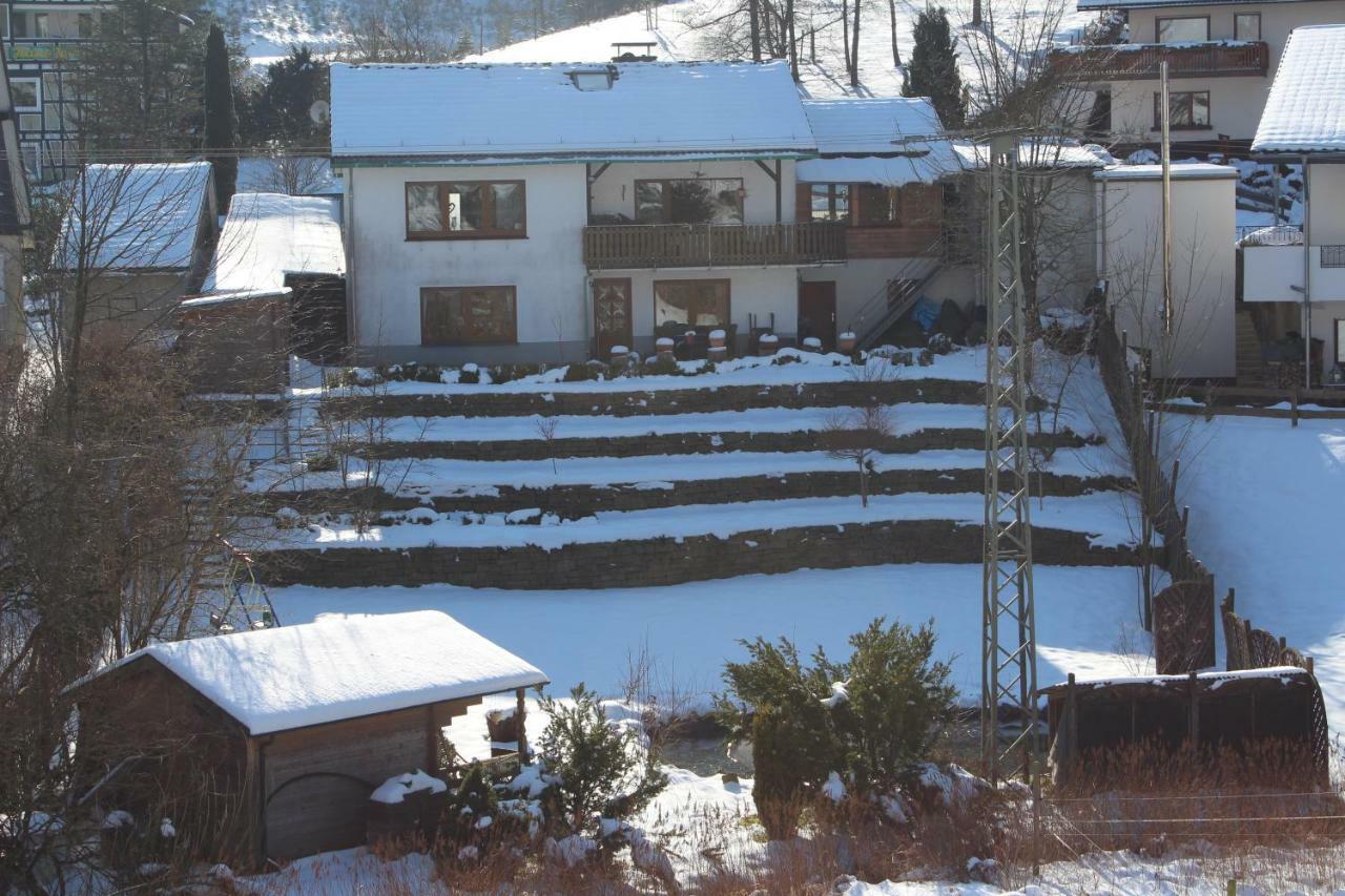 Villa Haus Talblick à Schmallenberg Extérieur photo